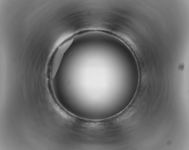 X0000092260990200709141205