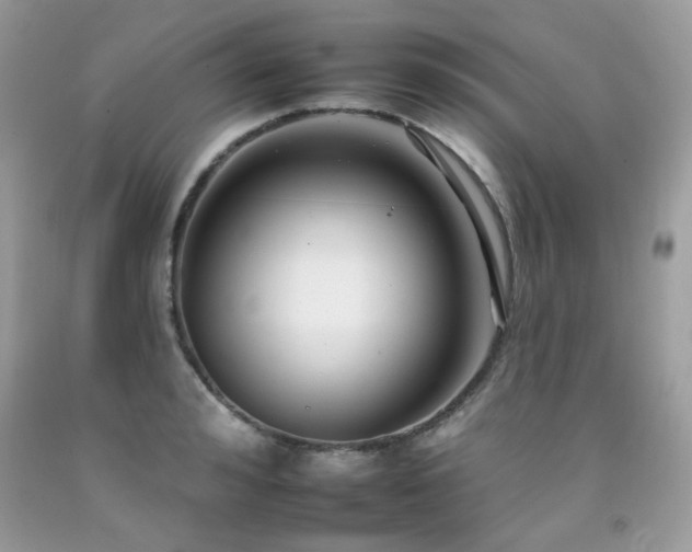 X0000092260992200709141205