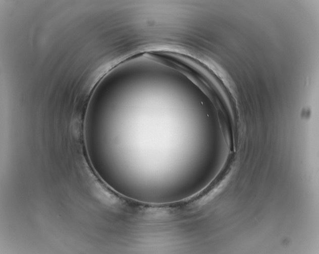 X0000092260993200709141205