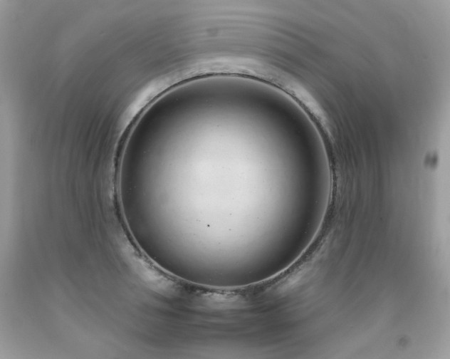 X0000092260994200709141205