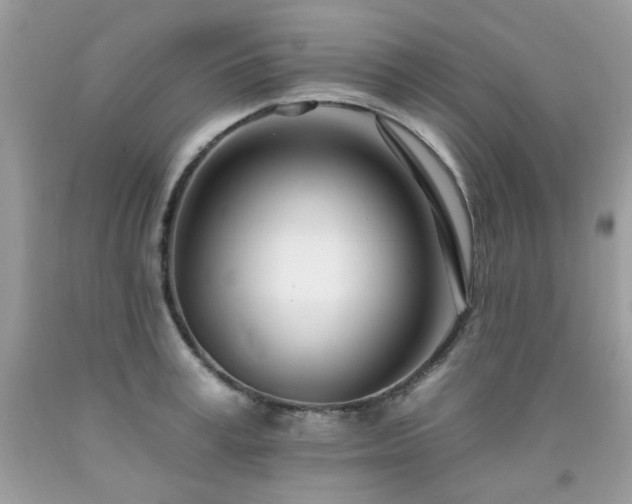 X0000092260995200709141205