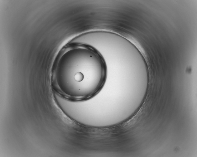X0000092260996200709141205