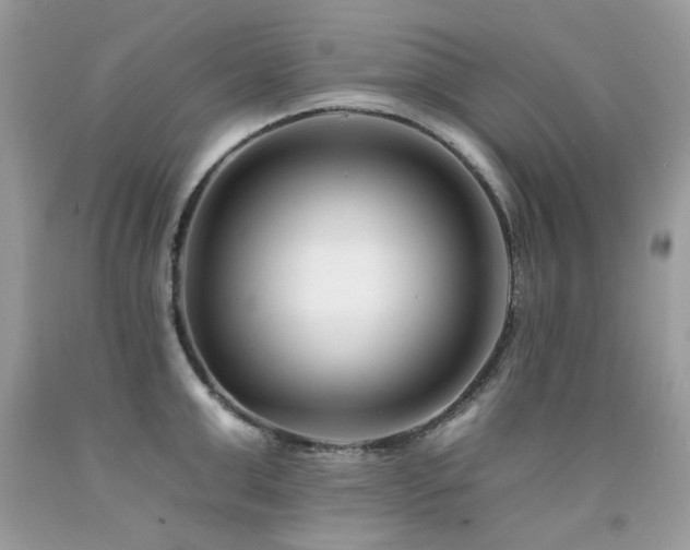 X0000092260999200709141205