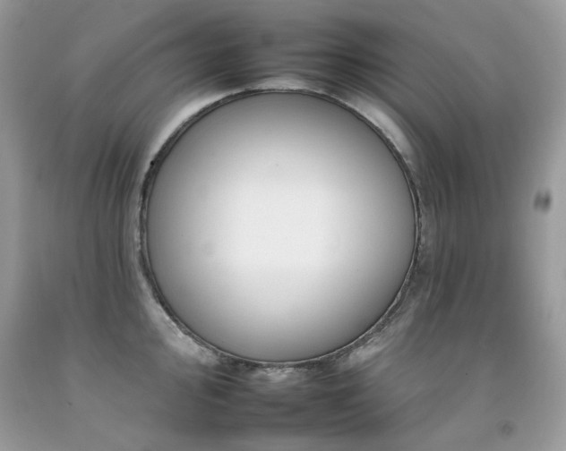 X0000092261000200709141205