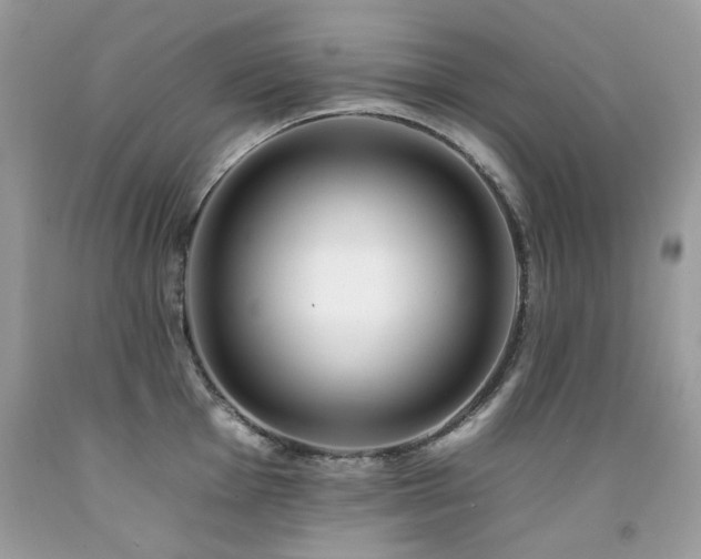 X0000092261001200709141205