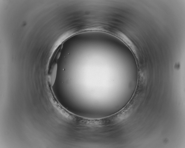 X0000092261002200709141205
