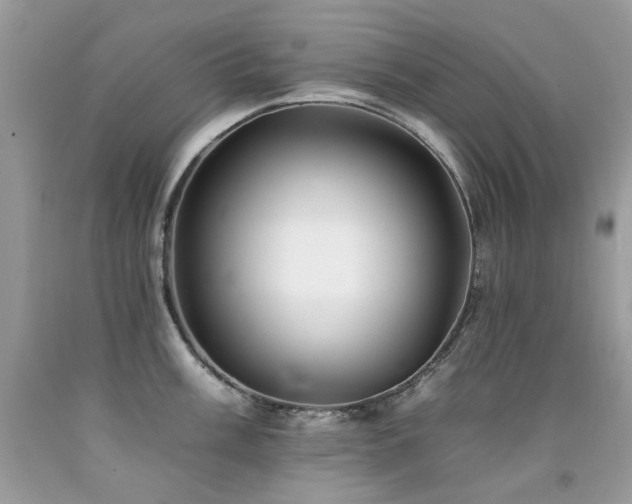 X0000092261003200709141205