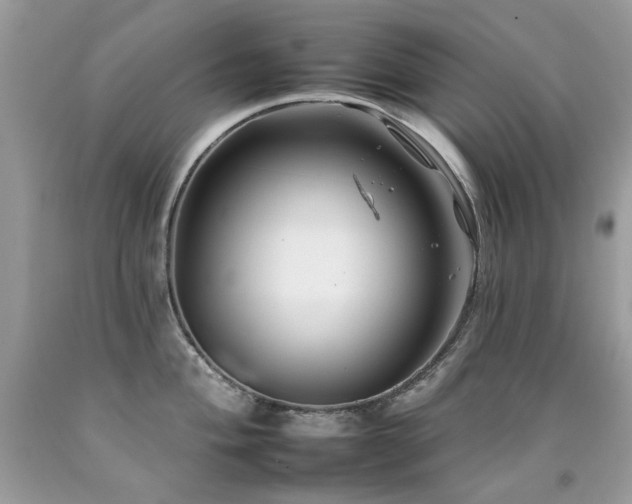 X0000092261004200709141205