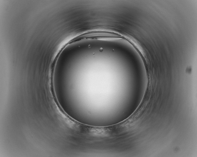 X0000092261006200709141205