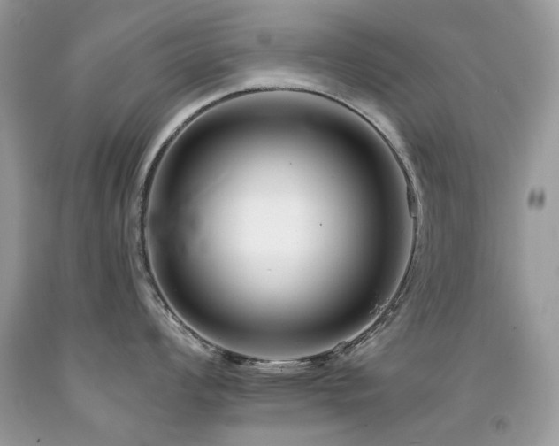 X0000092261008200709141205