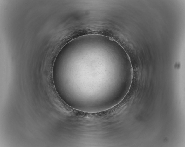 X0000092261009200709141205