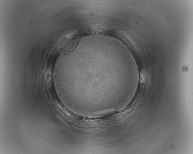 X0000092261011200709141205