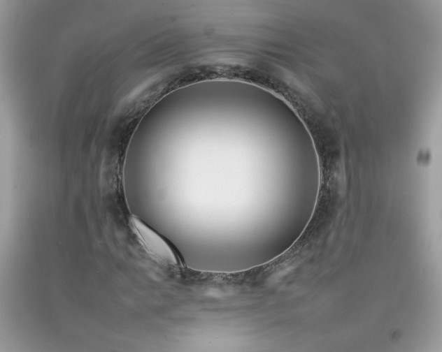 X0000092261014200709141205