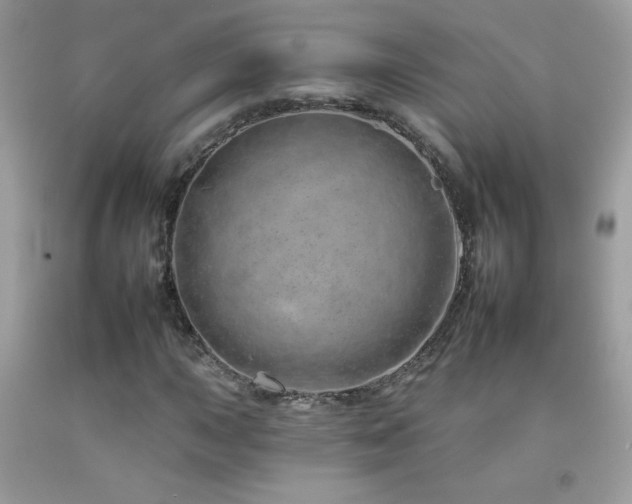 X0000092261015200709141205