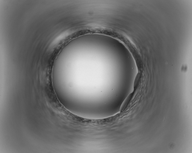 X0000092261016200709141205