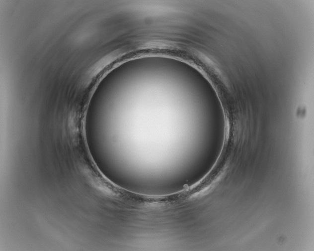 X0000092261017200709141205