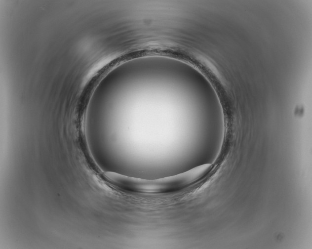 X0000092261018200709141205
