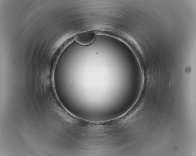 X0000092261019200709141205