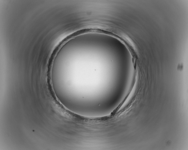 X0000092261020200709141205