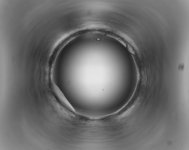 X0000092261021200709141205