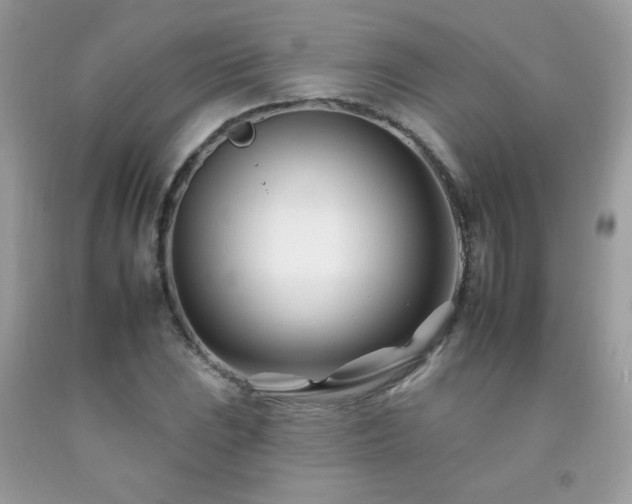 X0000092261023200709141205