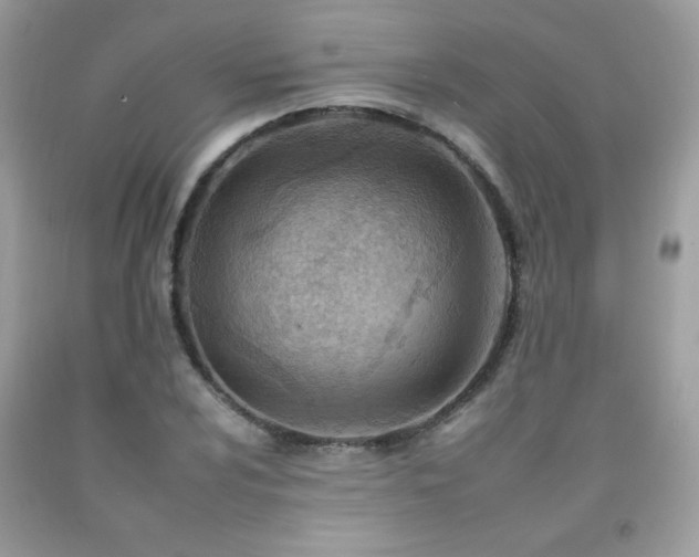 X0000092261024200709141205