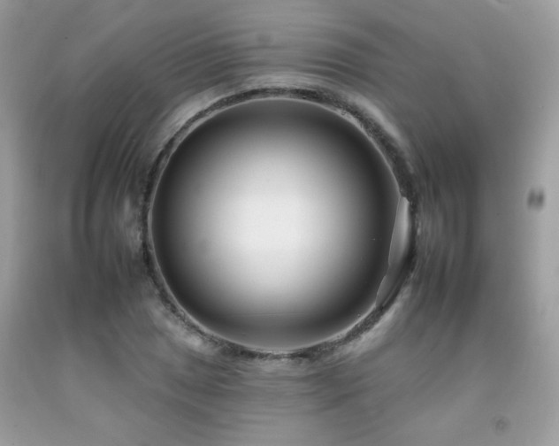 X0000092261025200709141205