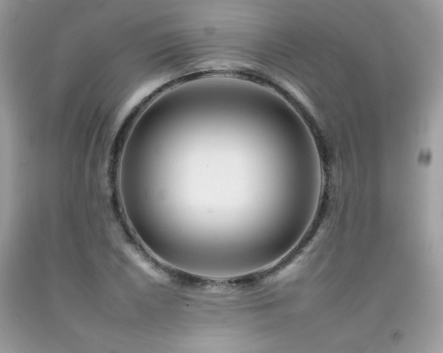 X0000092261026200709141205
