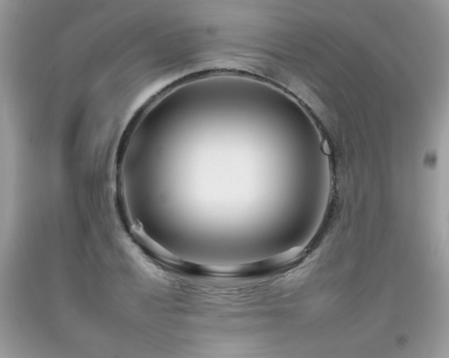 X0000092261028200709141205