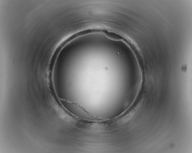 X0000092261029200709141205