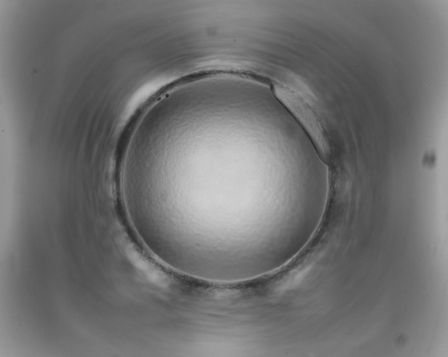 X0000092261030200709141205