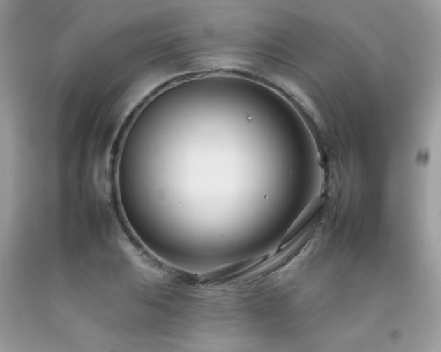 X0000092261031200709141205