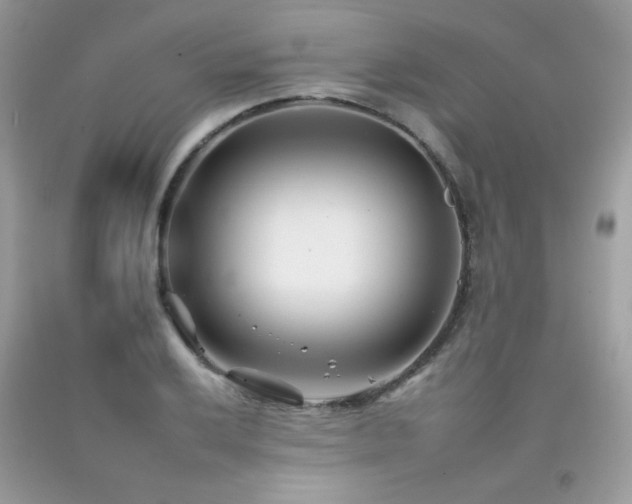 X0000092261032200709141205