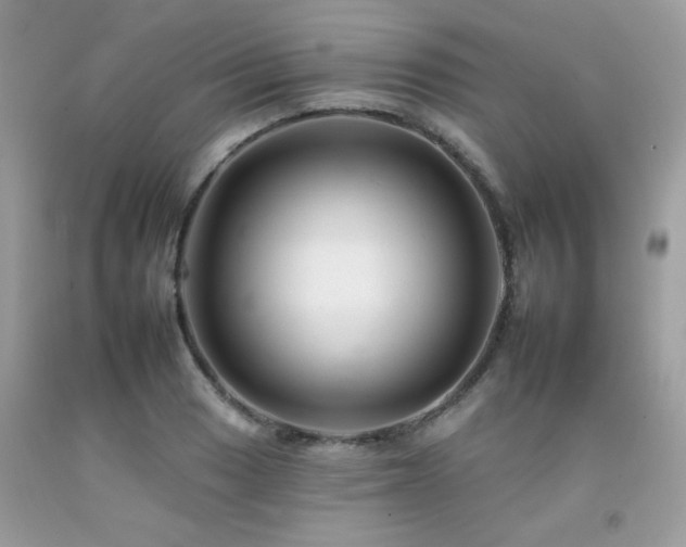 X0000092261033200709141205