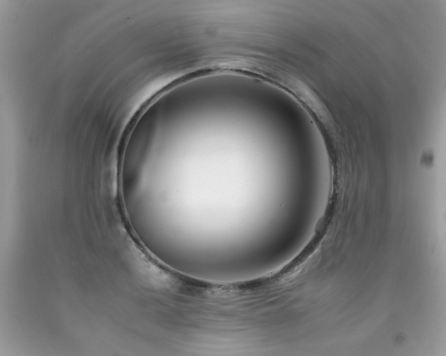 X0000092261036200709141205