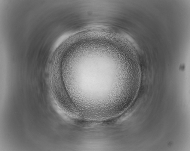 X0000092261038200709141205