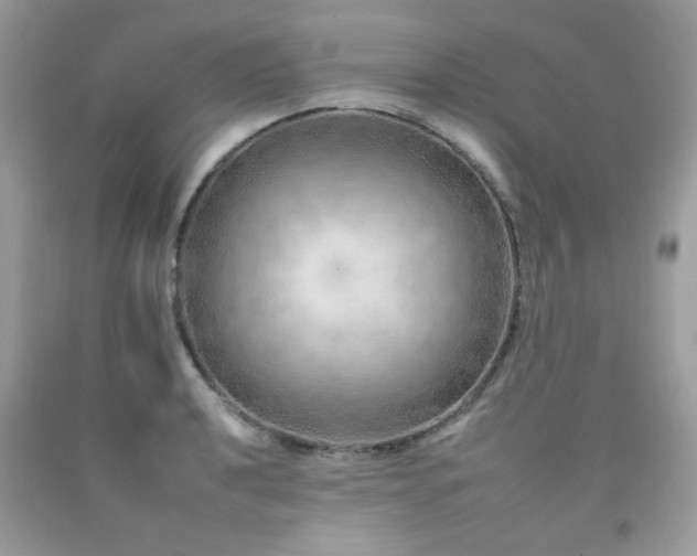 X0000092261040200709141205