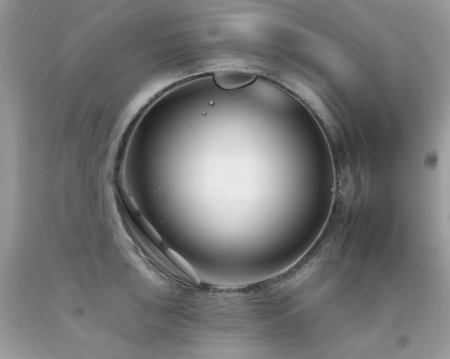 X0000092261043200709141205