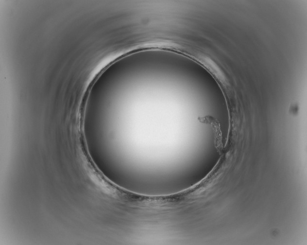 X0000092261044200709141205