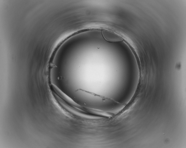 X0000092261045200709141205