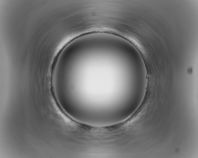 X0000092261046200709141205