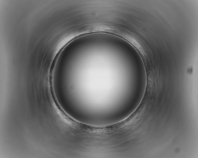 X0000092261047200709141205