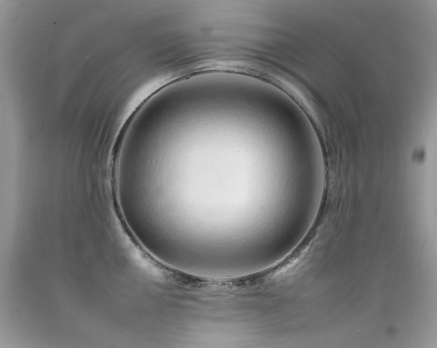 X0000092261050200709141205