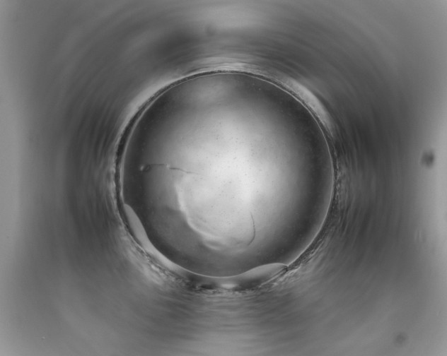 X0000092261051200709141205