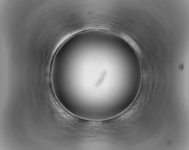 X0000092261052200709141205