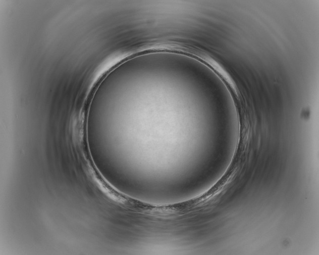 X0000092261053200709141205