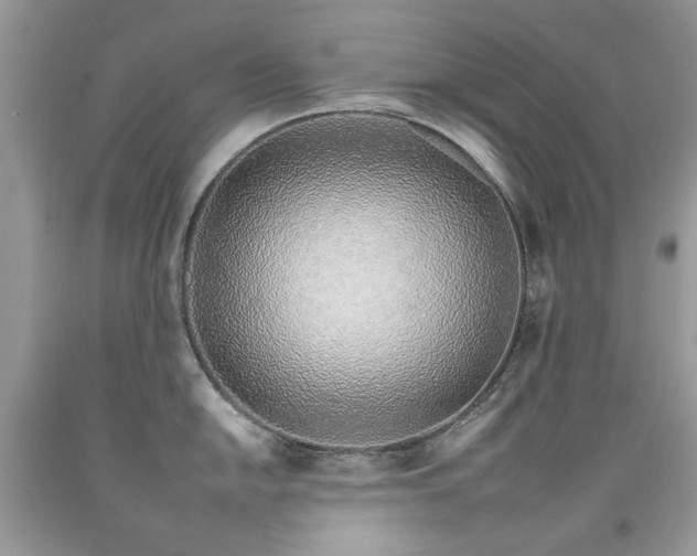 X0000092261054200709141205
