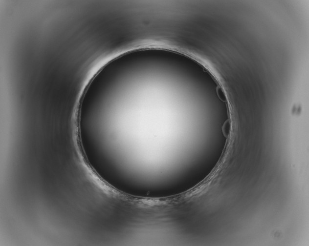 X0000092261056200709141205