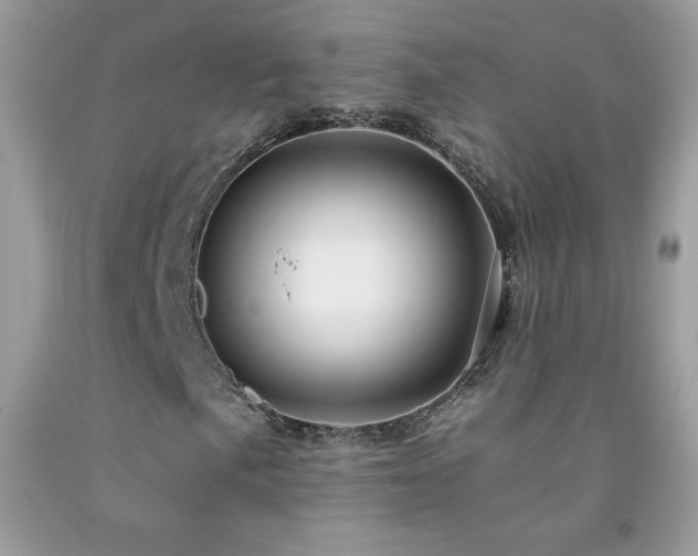 X0000092261057200709141205