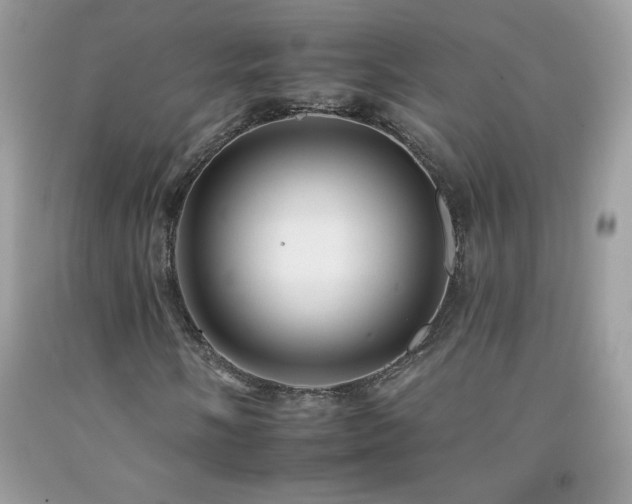 X0000092261058200709141205